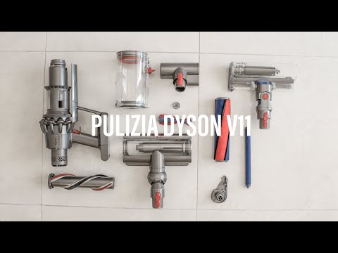 PULIZIA DYSON V11 - filtro, contenitore rifiuti, spazzole