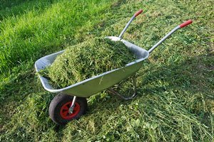 smaltire l'erba tagliata ha un impatto sull'ambiente